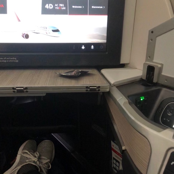 Meet your Posher, Kate - Picture 10 of 17